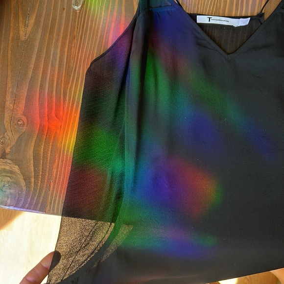 t alexander want silk slip dress - Picture 5 of 7